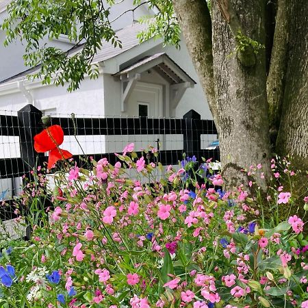 Beech Tree Cottage Glenwherry المظهر الخارجي الصورة