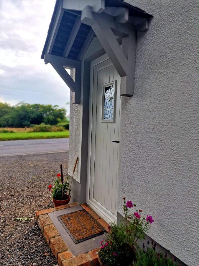 Beech Tree Cottage Glenwherry المظهر الخارجي الصورة