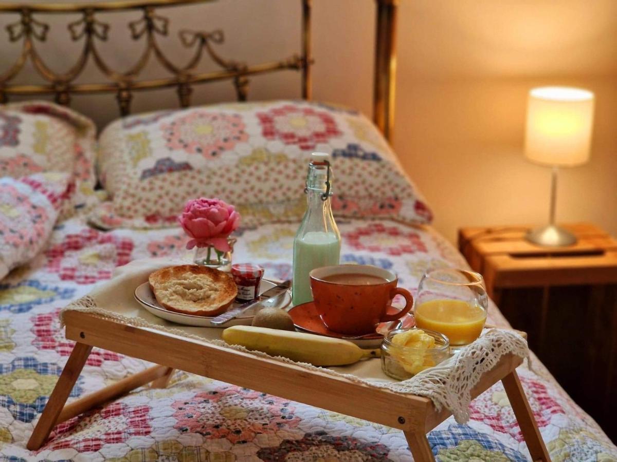 Beech Tree Cottage Glenwherry المظهر الخارجي الصورة